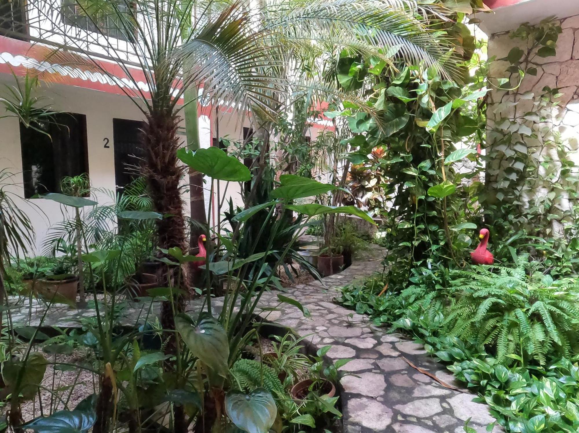 Hotel Quinta Marciala Mx วัลลาโดลิด ภายนอก รูปภาพ